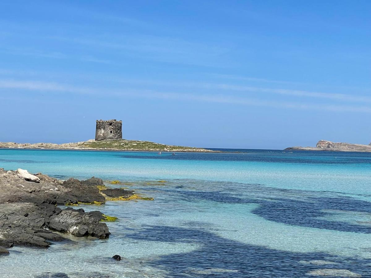 Civico34 House 4 - I Giardini Dell'Ancora Βίλα Stintino Εξωτερικό φωτογραφία