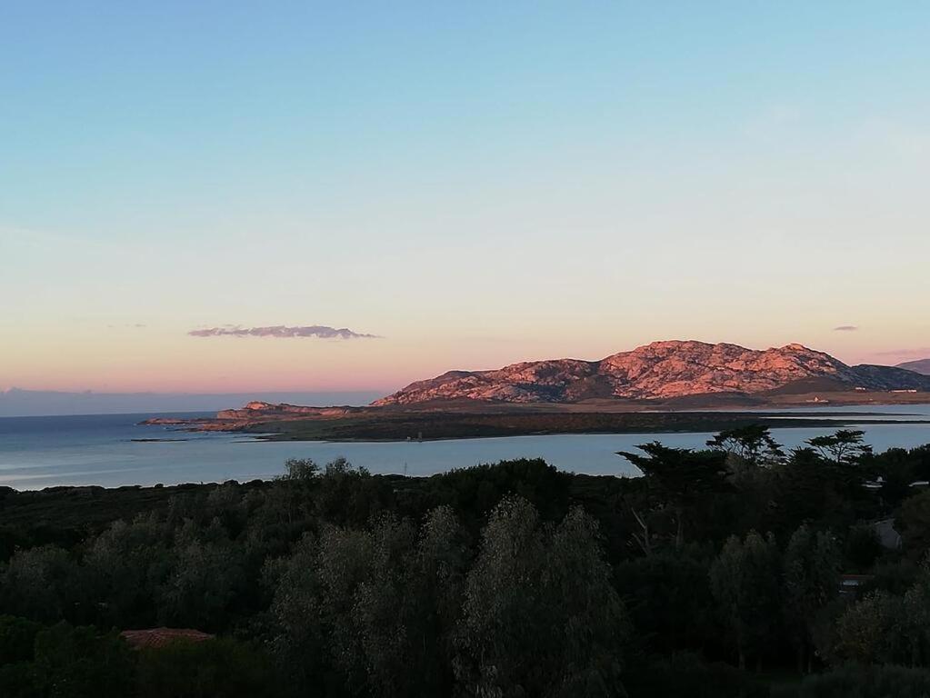 Civico34 House 4 - I Giardini Dell'Ancora Βίλα Stintino Εξωτερικό φωτογραφία